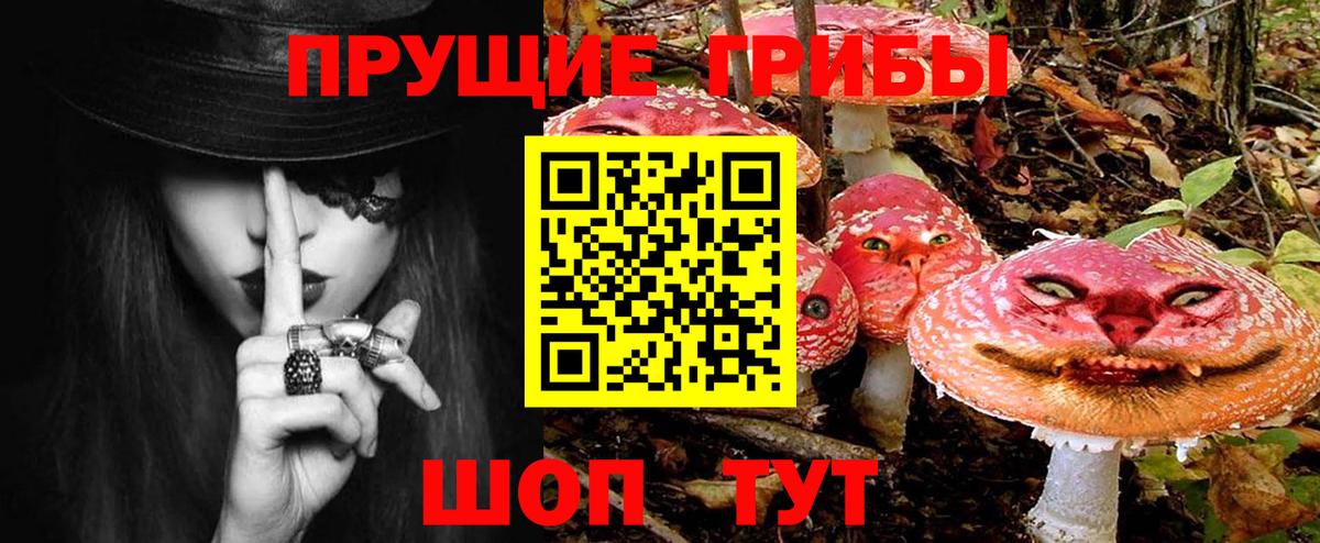 Сургут  Галлюциногенные грибы Cubensis  магазин продажи   Вход с VPN 
